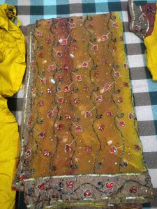 Embroidered Sari with Blouse