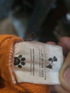 Orange Dog Hoodie