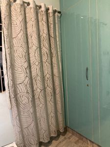 Window Curtains