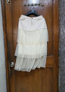 Prettiest Net Skirt