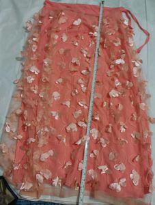 Peach Tulle Skirt with 🦋 Appliques