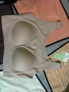 Seamless Padded Sports Bra