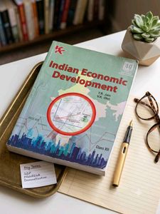 Indian Economic Development Class XII Book