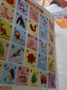 English Alphabet Book for Kids