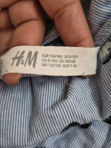 H&amp;M Blue Butterfly Dress
