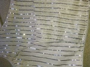 Unused Silver Color Blouse
