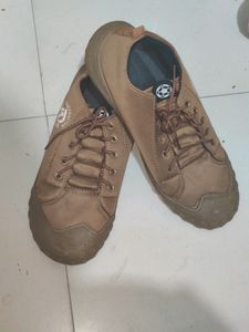 Men's Casual Shoes. Unused. No Offered Coins.