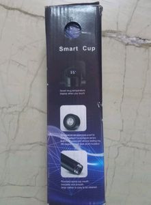 Thermas Water Bottle With Temperature Indicator