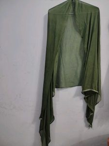 Elegant Olive Green Dupatta georgette net stall