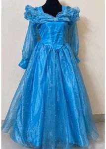 Enchanting Cinderella Blue Ball Gown