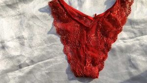 Sheer Lace Red Briefs