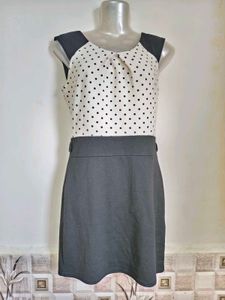 Chic Polka Dot &amp; Black Skater Dress