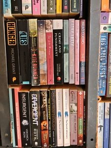 Assorted Fiction Books