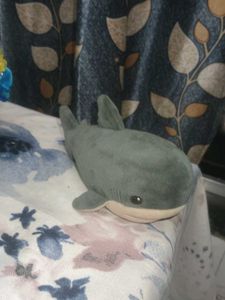 Cute Shark Plush Toy