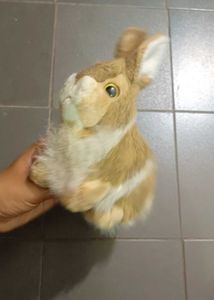 Cute Plush Rabbit Toy