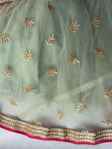 Elegant Embroidered skirt with duppatta. No blouse