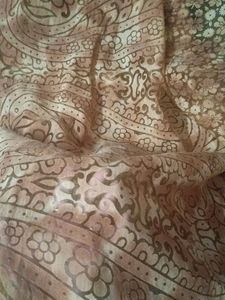 Beautiful Cotton Organza Saree