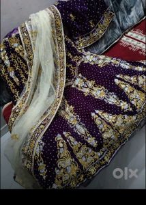 Embroidered Lehenga Choli