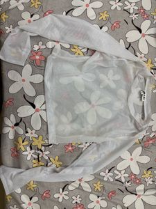 Sheer Mesh Long Sleeve Crop Top