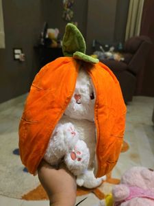 Cute Fluffy Bunny Plush Toy
