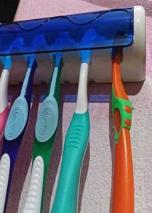Stylish Toothbrush Holder