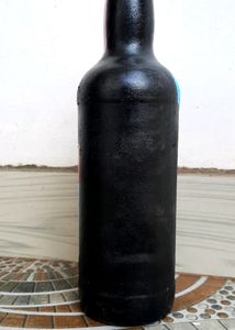 Women Bottle Art