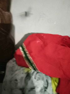 Elegant Embellished Saree