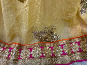 Rajasthani Skirt