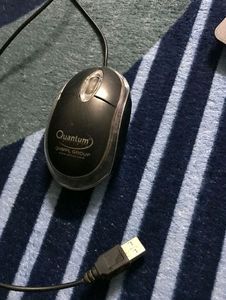 Quantum Mouse