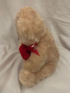 Cute Teddy Bear with "Be Mine" Heart
