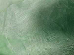 Elegant Pastel Green Embellished Saree