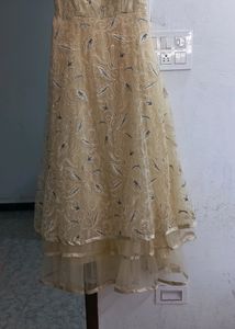 Elegant Embroidered Overlay Dress