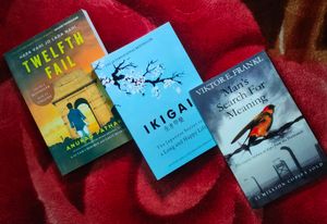 NRB HUB BOOKS SALE: Combo Of 3 Premium Novels