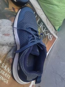 Adidas Running Shoes