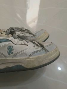 Classic White Sneakers