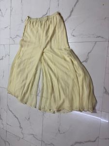 Elegant Cream Embroidered plazo set