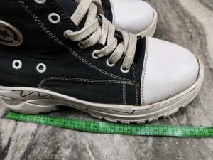 Light Weight Sneakers