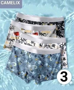 Men's Boxer Briefs - Pack of 3