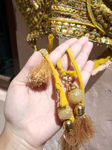Vibrant mustard Yellow Lehenga set