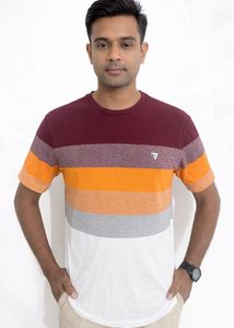 Men's Striped Colorblock T-Shirt