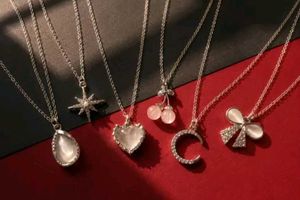 Charming Necklace Collection