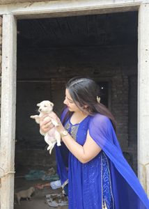 blue bandhani kurta set with duppatta and salwar