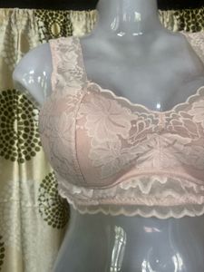 Lace Trimmed Padded Bra