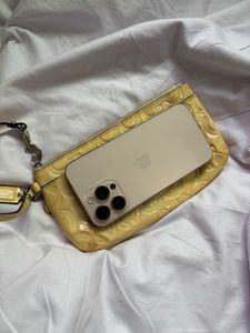 Big coach wristlet