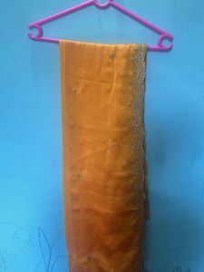 Elegant Orange Embellished duppata