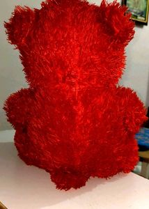 Soft Teddy Bear