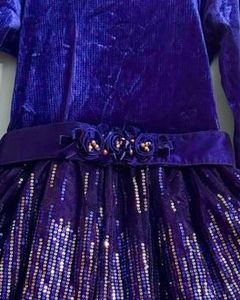 Sparkly Blue Velvet limited edition Dress