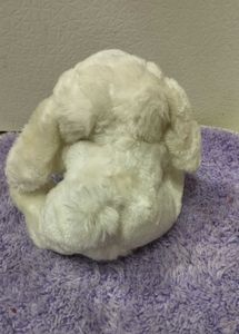 Soft White Bunny Stuffed Animal