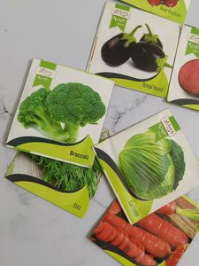 Seeds Of 15 Different Vegetables