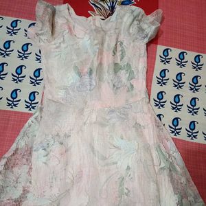 Floral Print Lace Overlay Dress